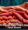 Hackers Unravel Major Fabric Supplier in Cyber Breach