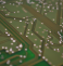 Cloud Computing: Transforming Business Infrastructure